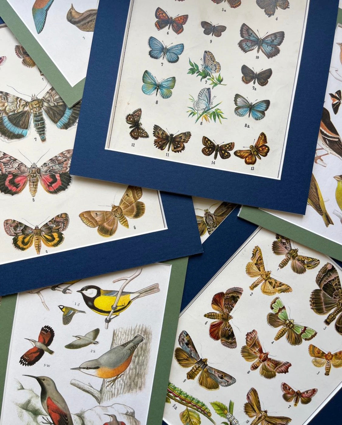 Prints and Lithographs