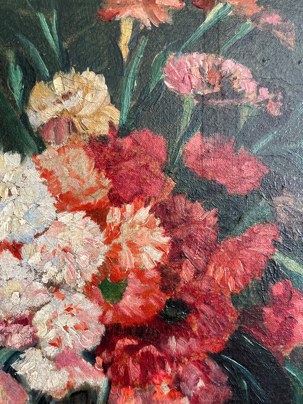 Carnations