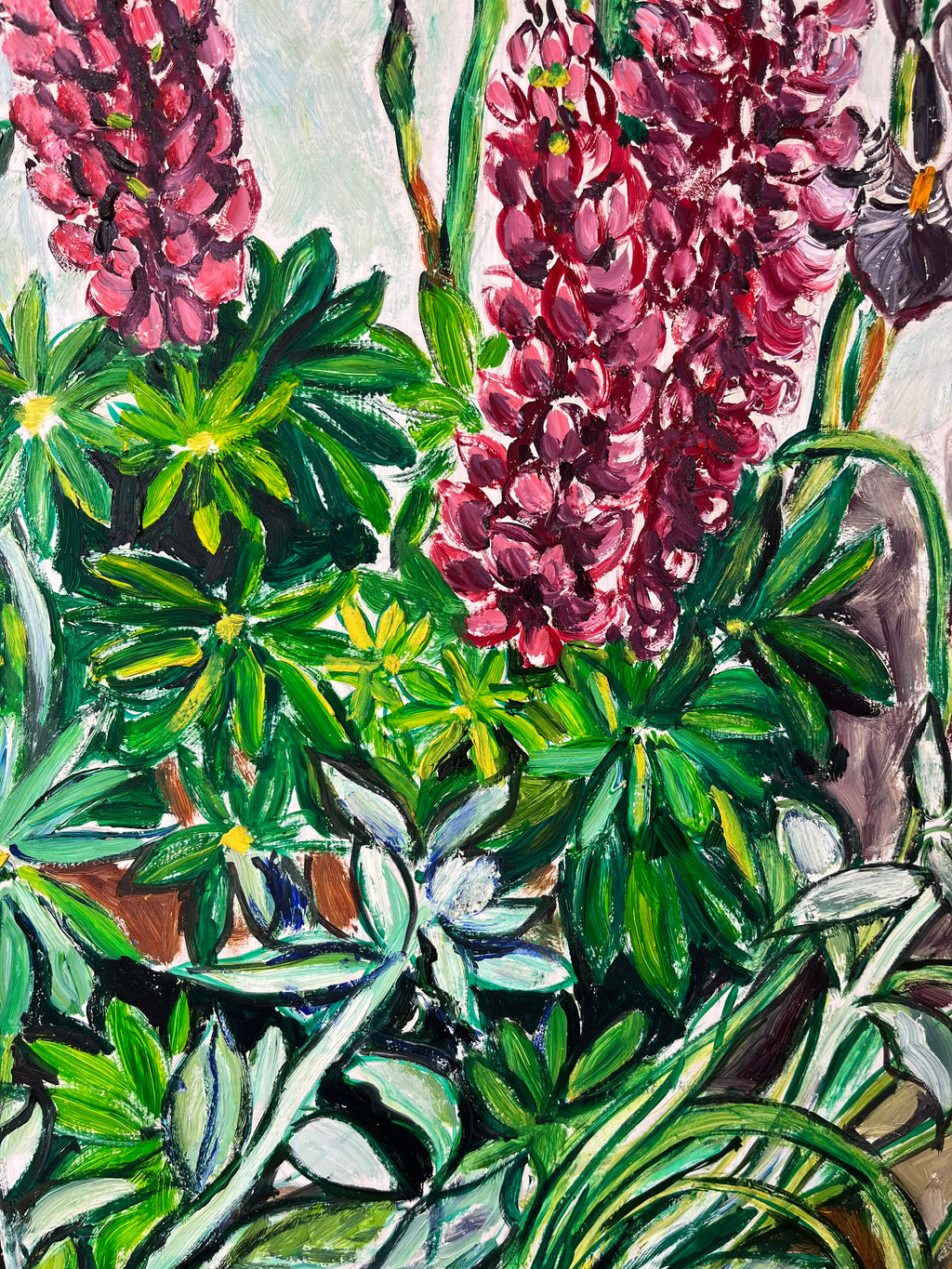 Irises & Lupins