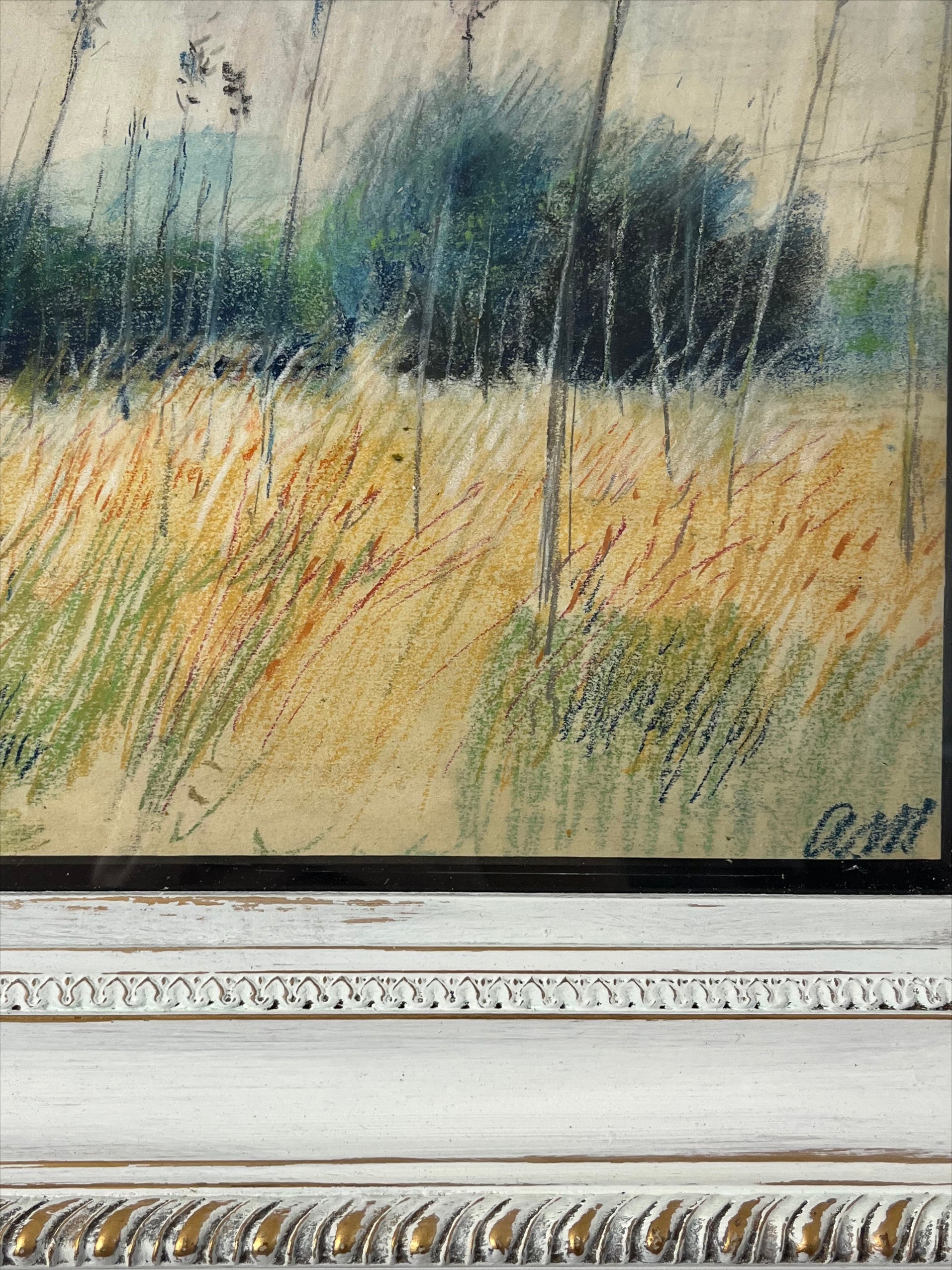 Field Grasses