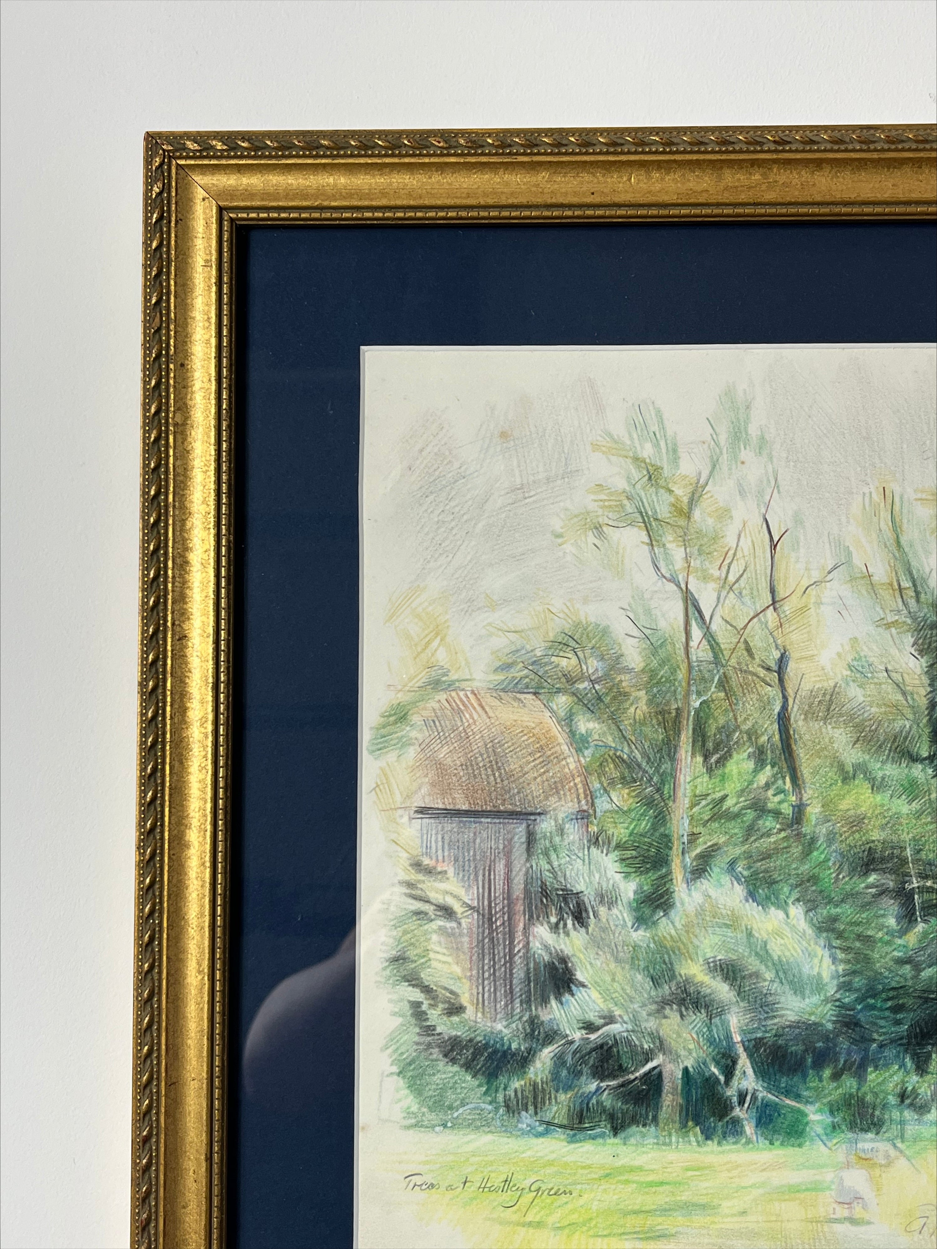 Trees at Hestley Green