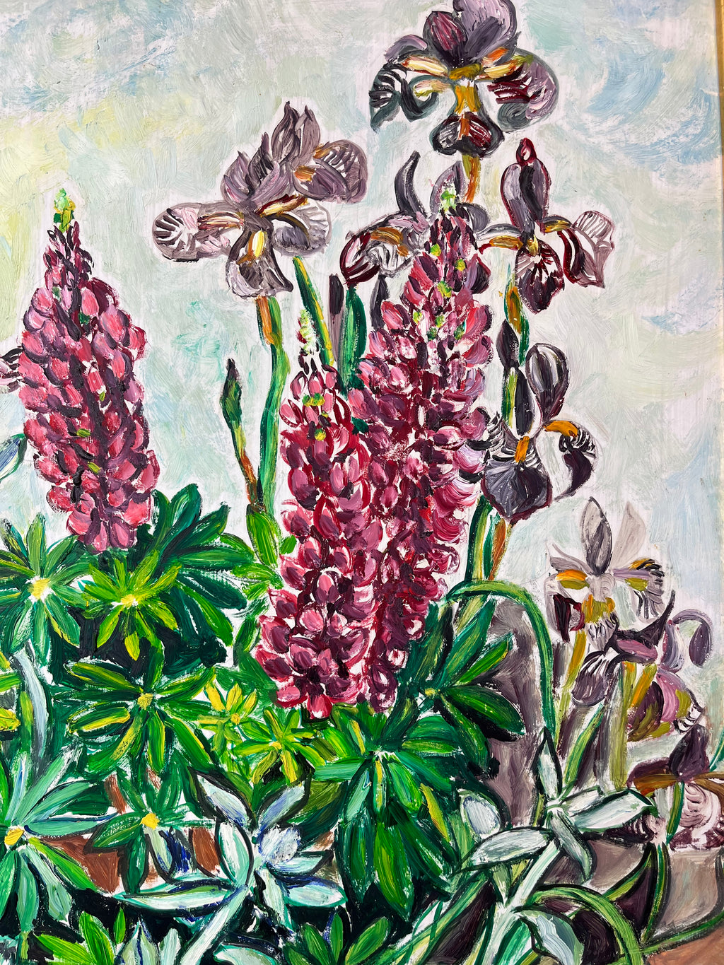Irises & Lupins