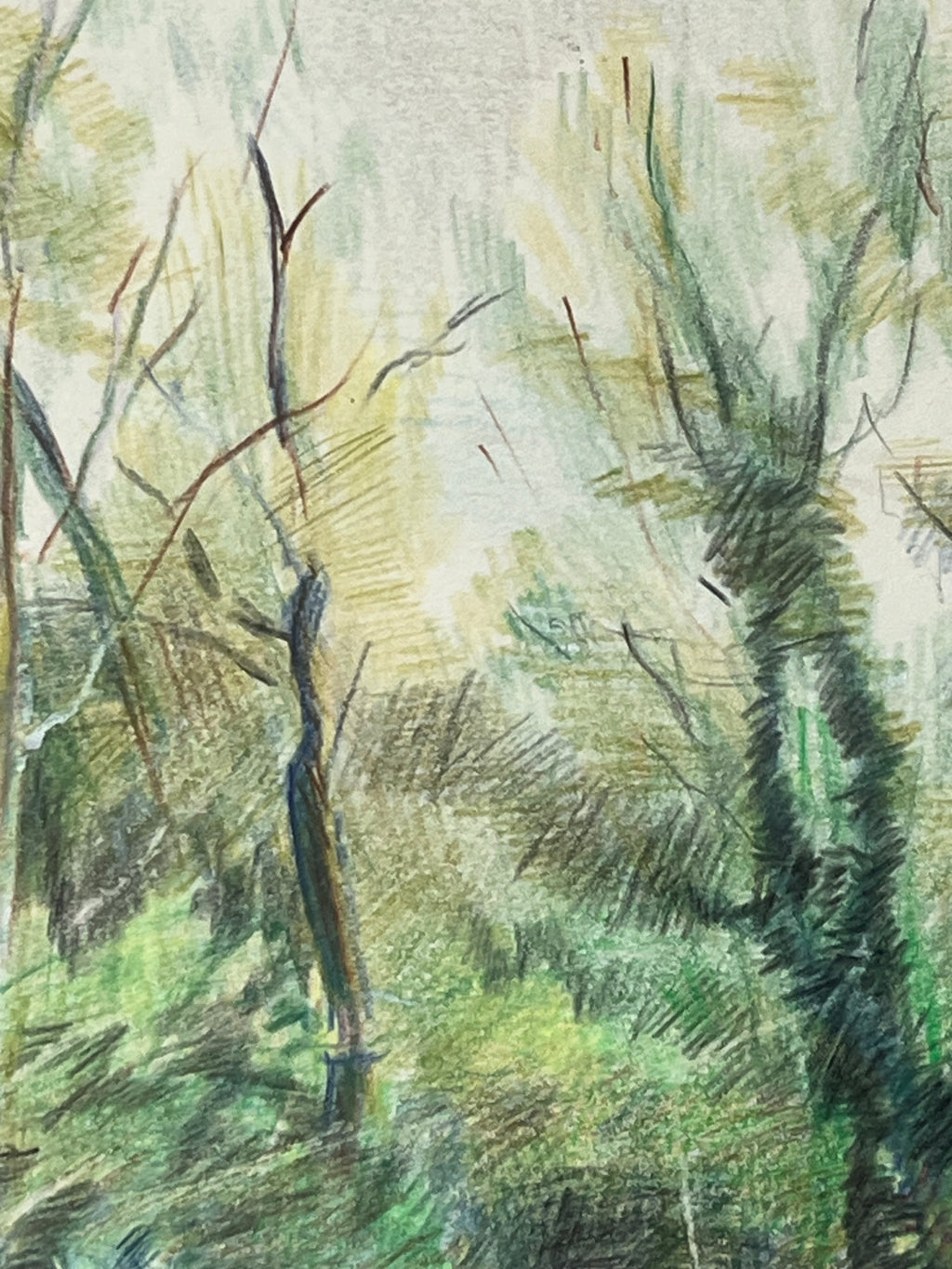 Trees at Hestley Green