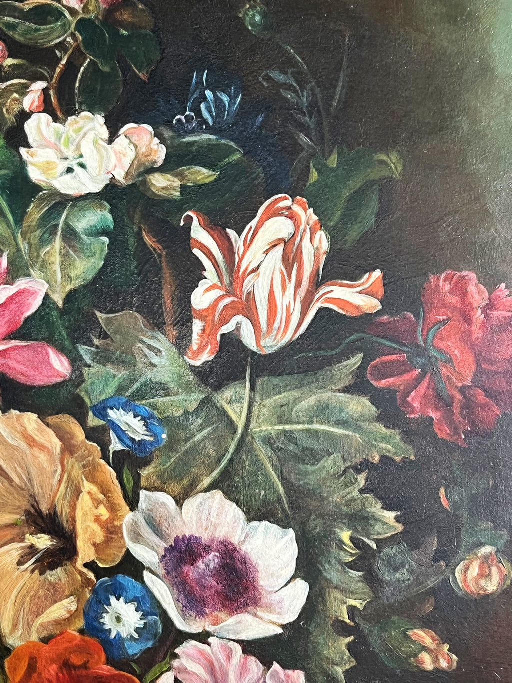 Dutch Flowers