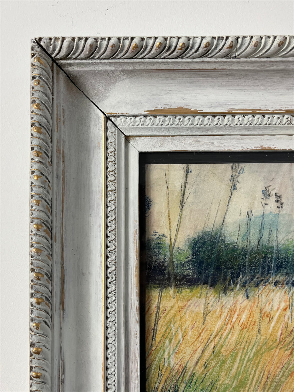 Field Grasses