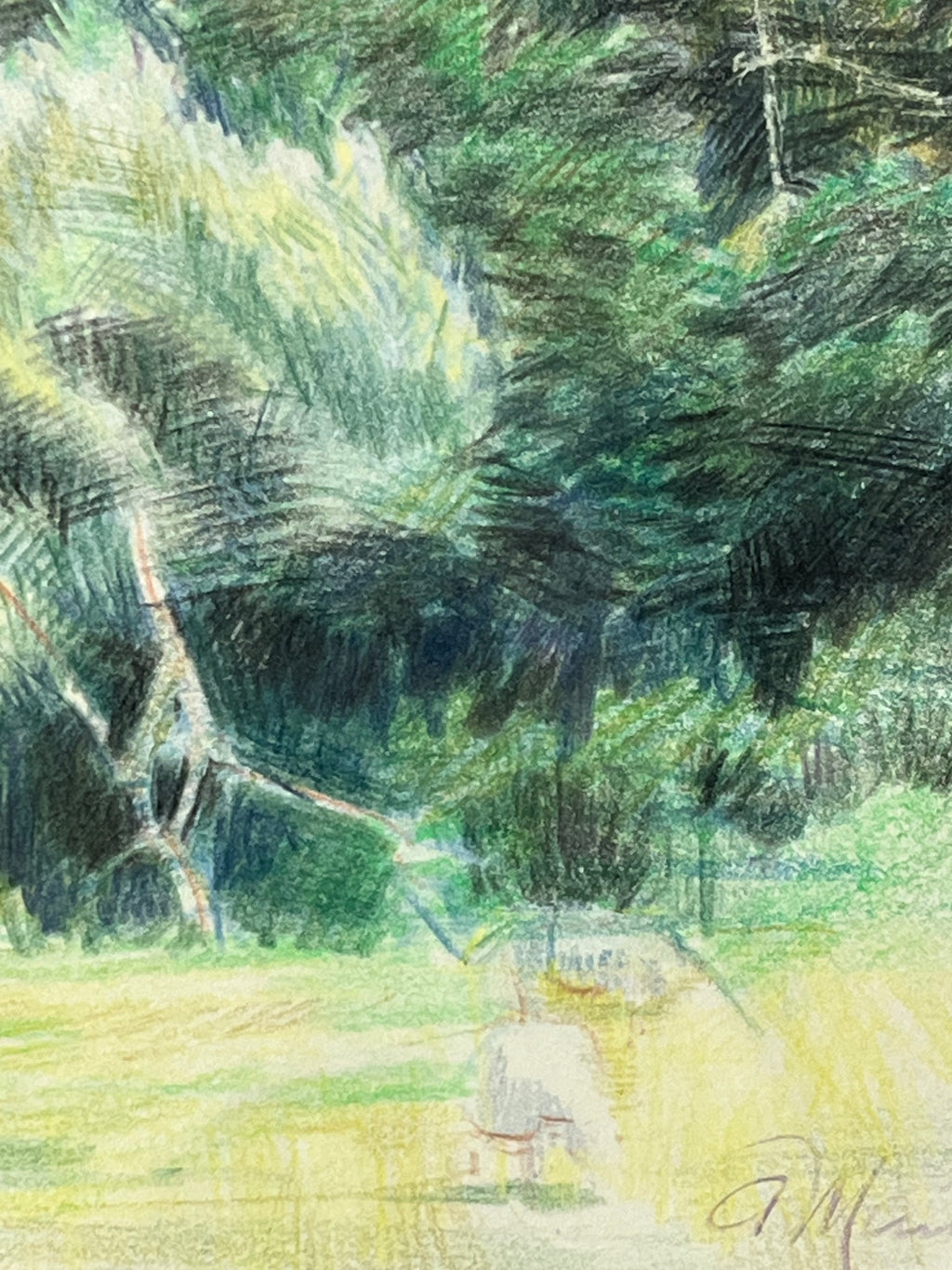 Trees at Hestley Green