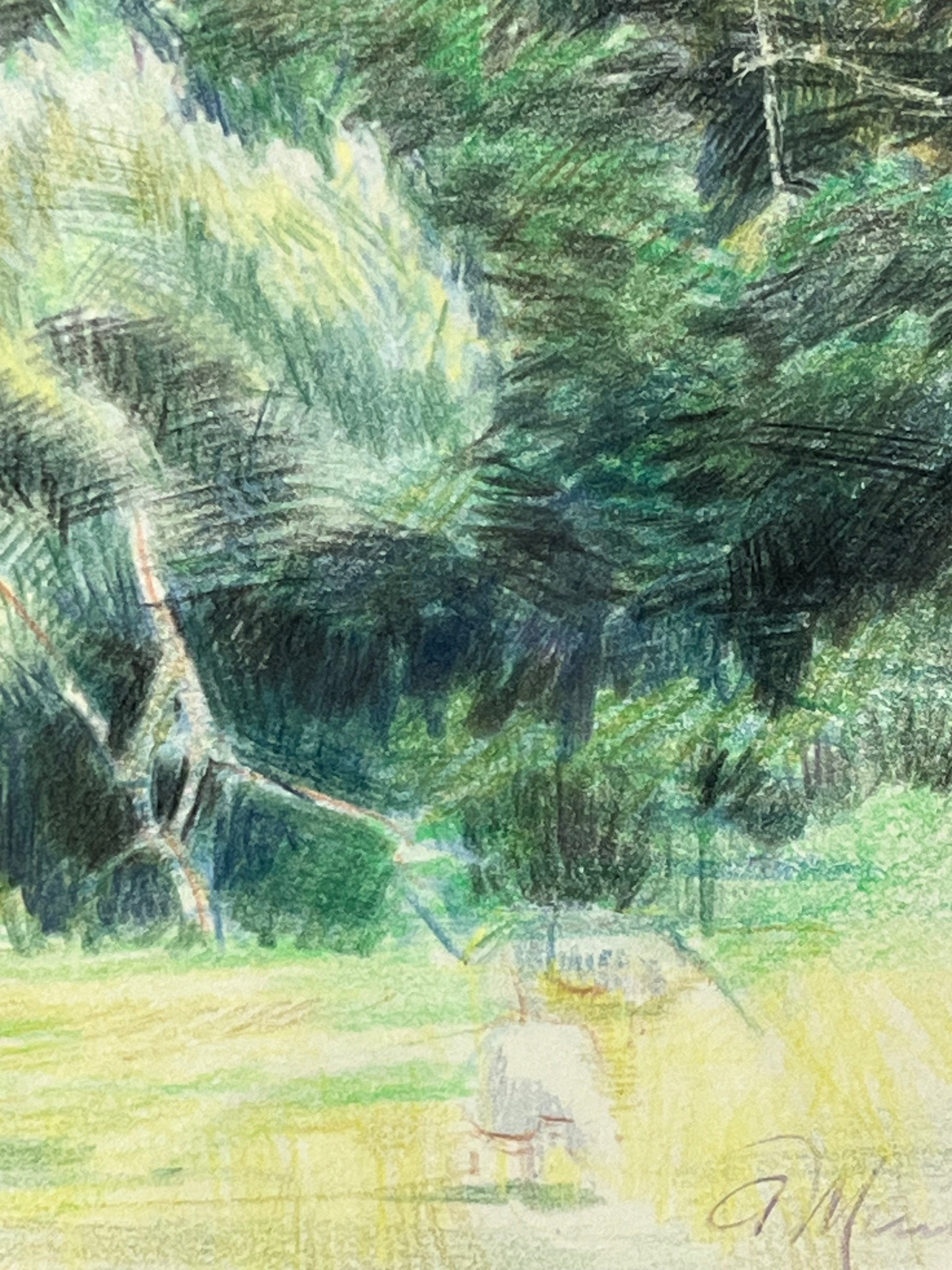 Trees at Hestley Green