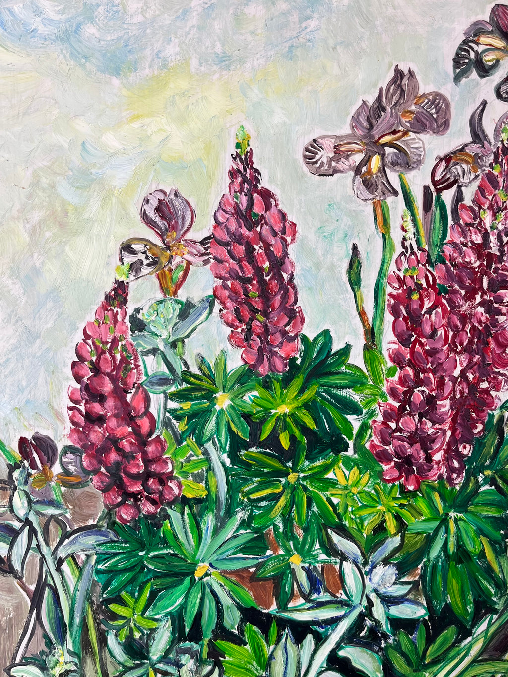 Irises & Lupins