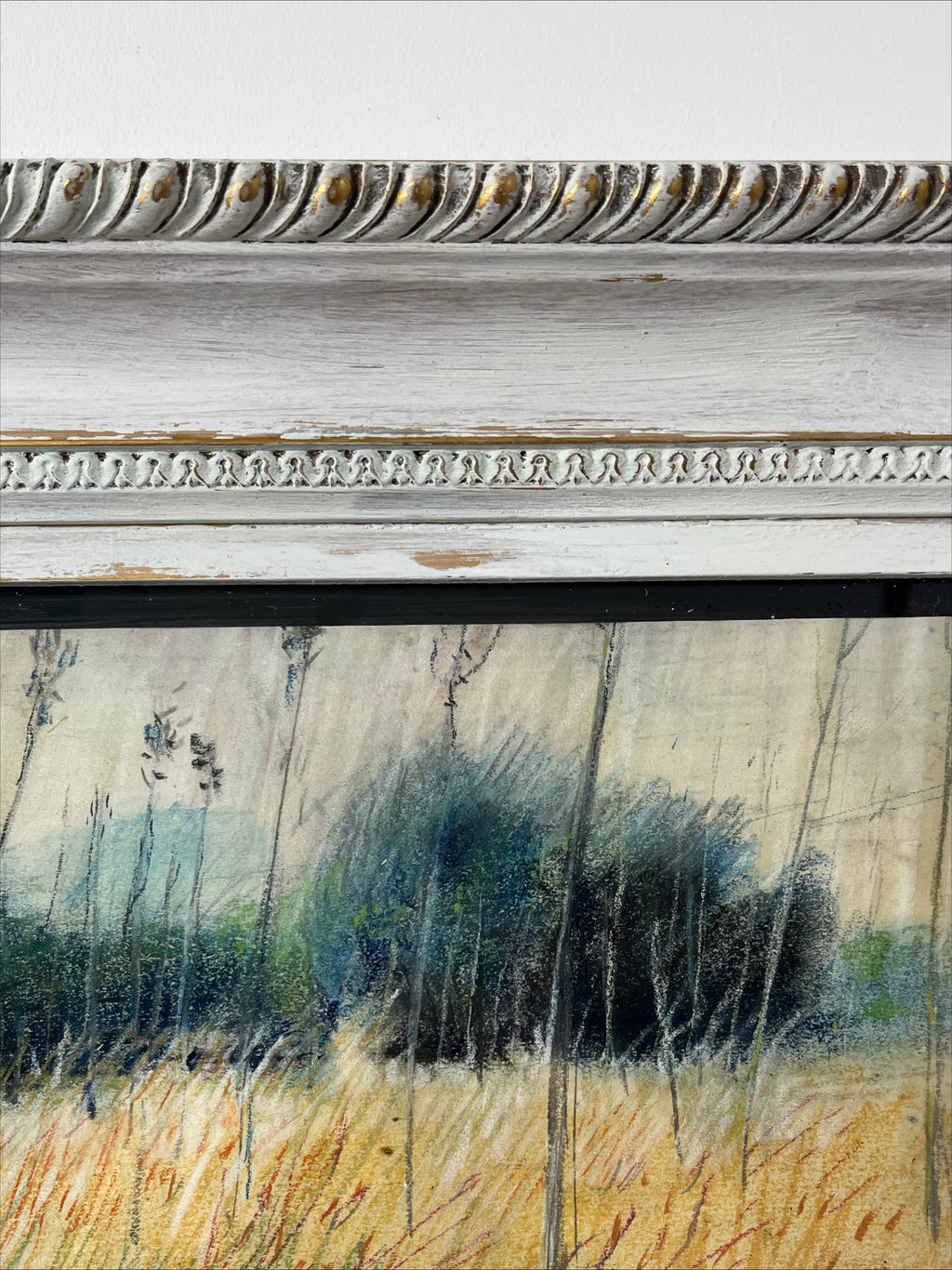 Field Grasses