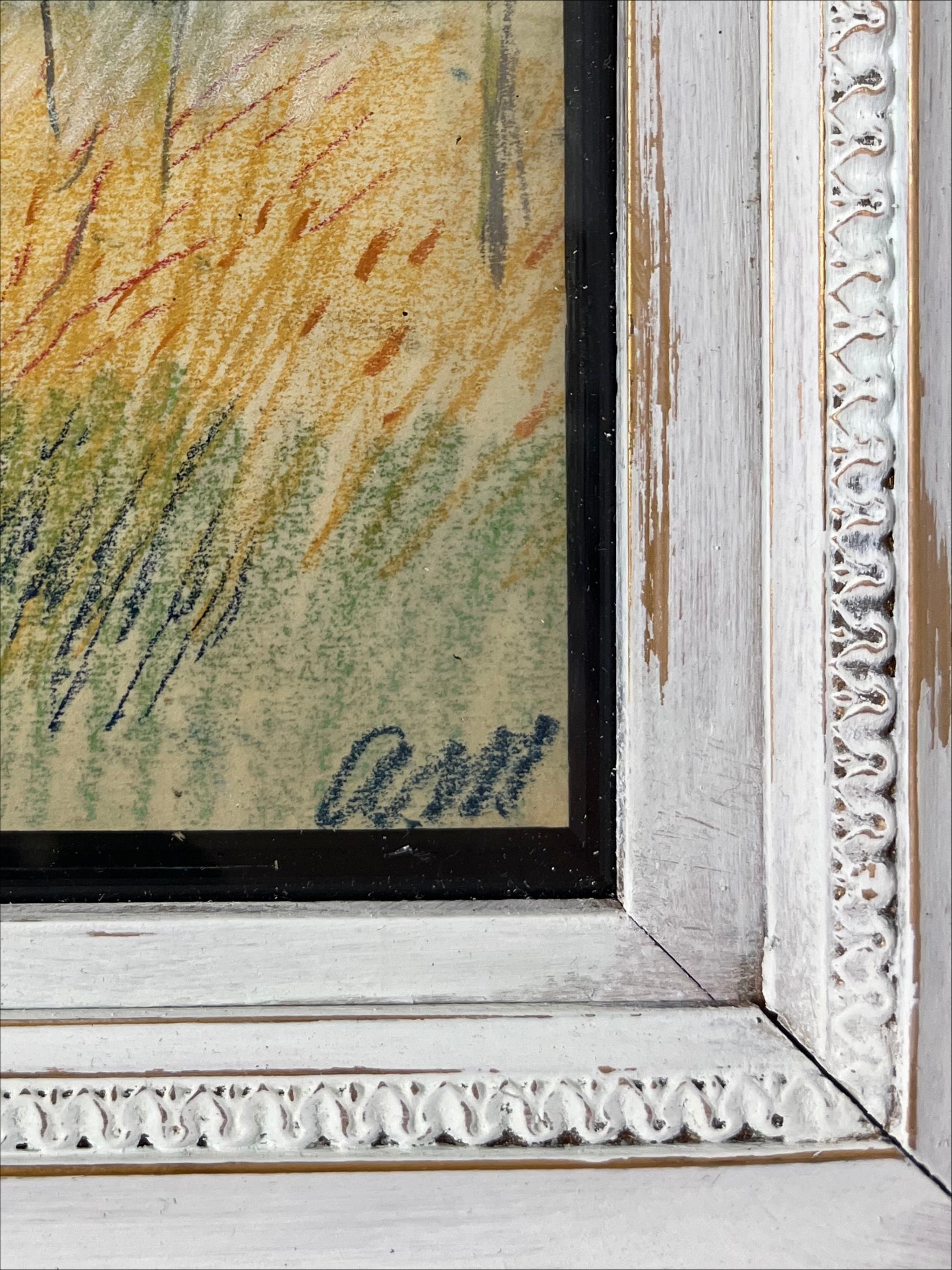Field Grasses