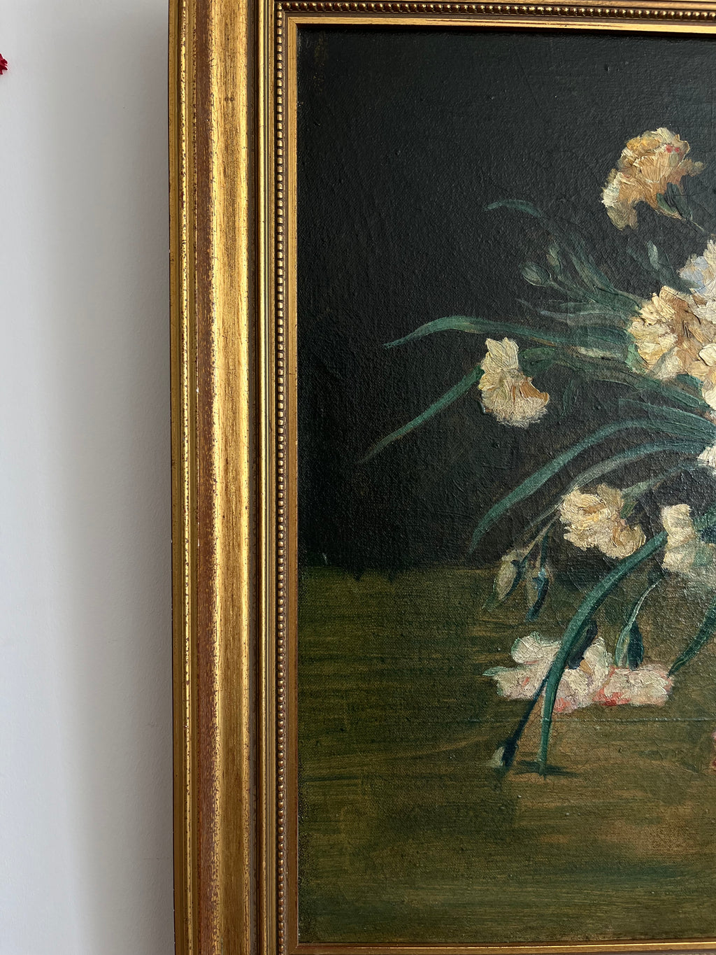 Carnations