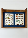 Butterfly prints