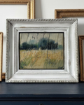 Field Grasses