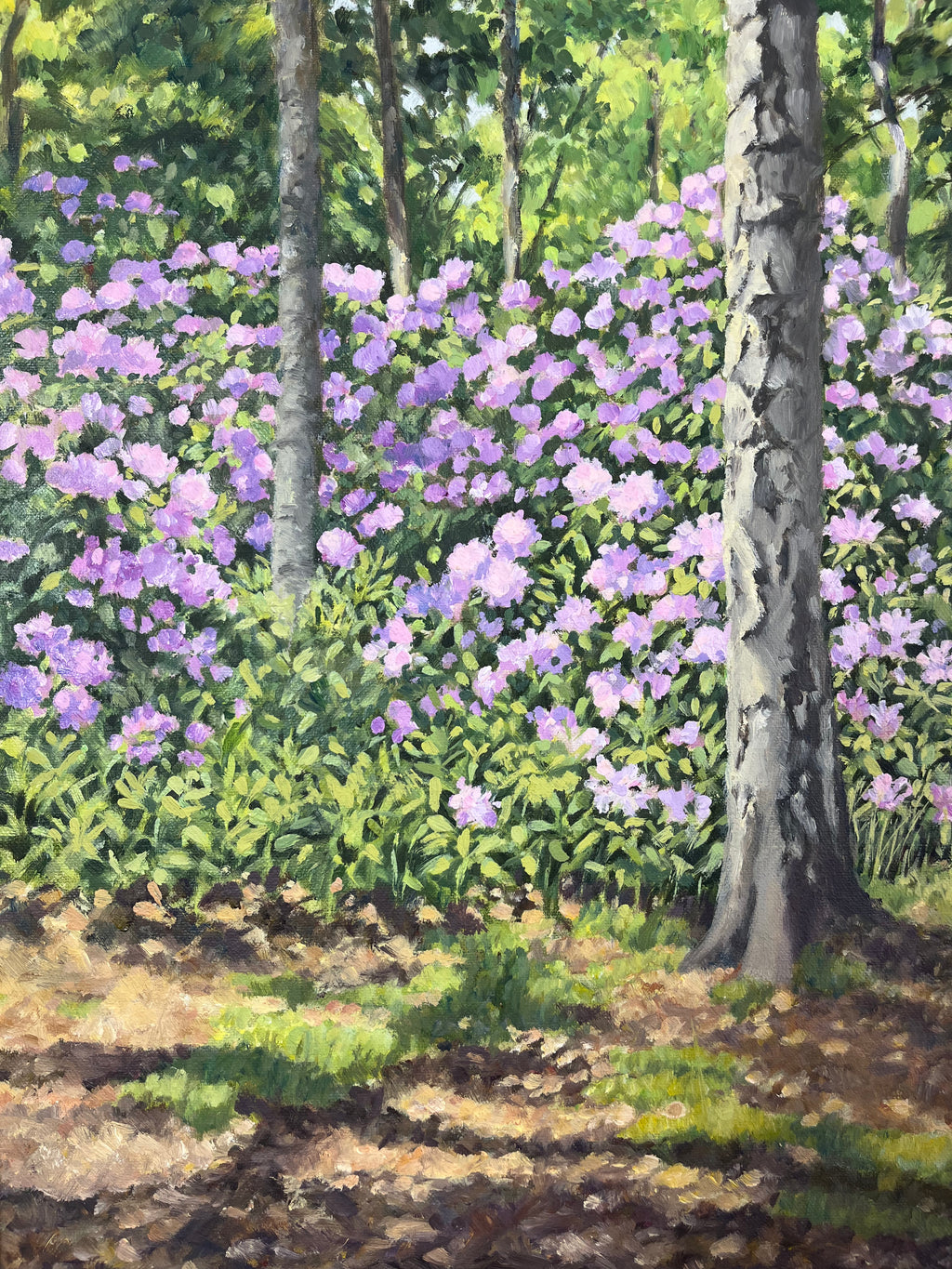 Woodland