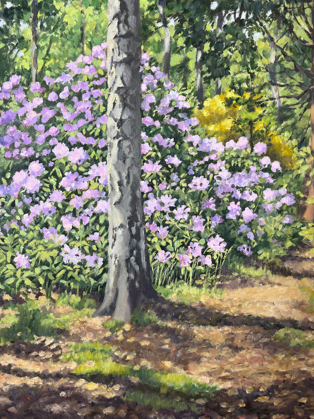 Woodland