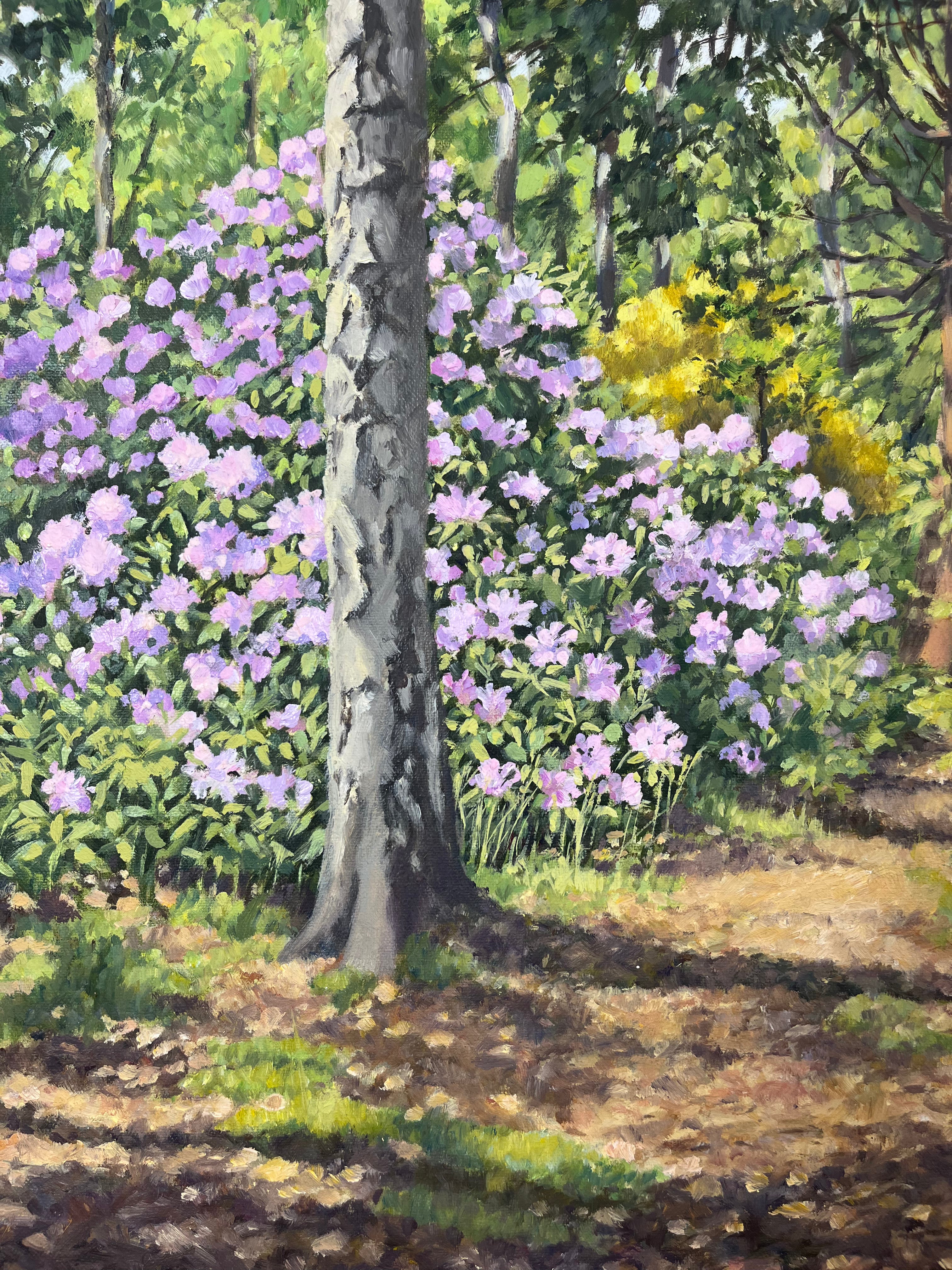 Woodland