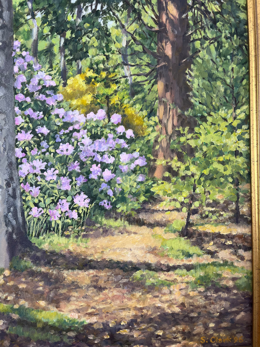 Woodland